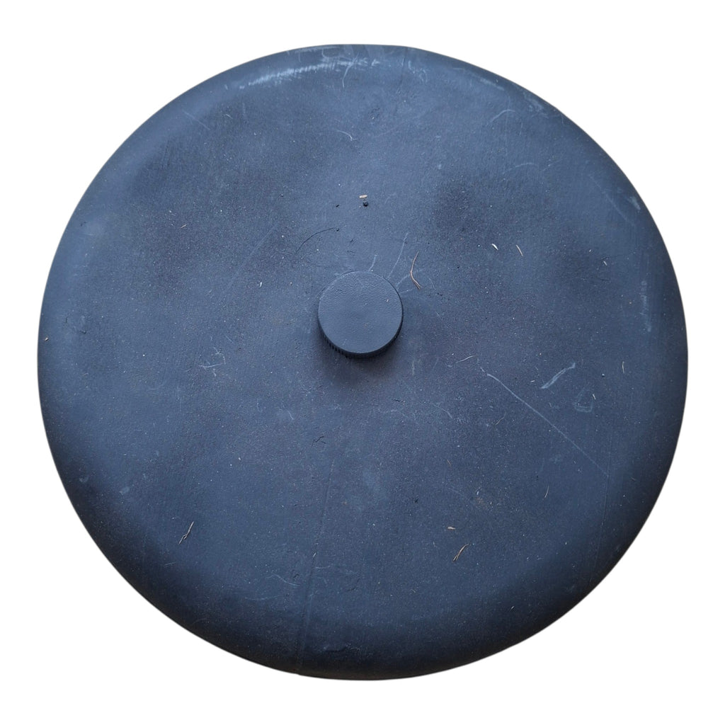 Duitse lichte panther mine